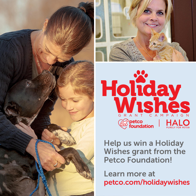 hw_partnerkit_holiday_wishes_social_graphic