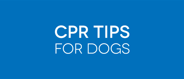 Saving Your Pet with CPR