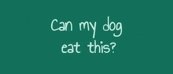 Can My Dog Eat This?