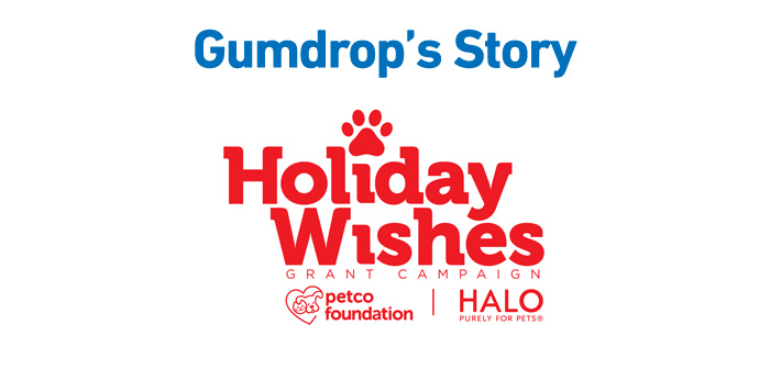 Petco Foundation & Halo, Purely for Pets – Holiday Wishes: Gumdrop’s Story